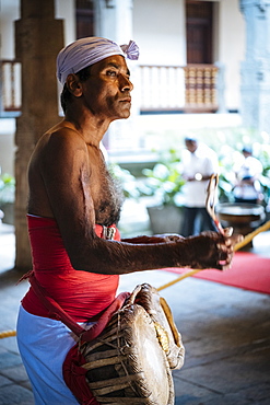 Drummer during Puja, Temple of the Sacred Tooth Relic, Kandy, Central Province, Sri Lanka, Asia