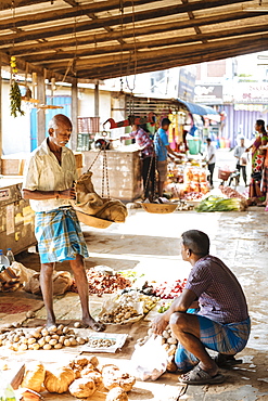 Jaffna, Northern Province, Sri Lanka, Asia