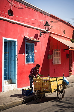 Fruit Seller, Getsemani Barrio, Cartagena, Bolivar Department, Colombia, South America