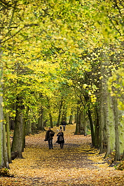 Hampstead Heath, North London, England, United Kingdom, Europe