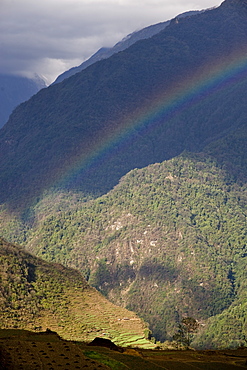 Ghandruk, 1990 metres, Annapurna Himal, Nepal, Himalayas, Asia