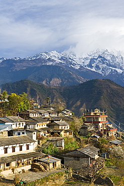 Ghandruk, 1990 metres, Annapurna Himal, Nepal, Himalayas, Asia