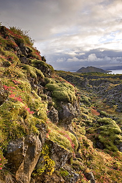 Thingvellir National Park, UNESCO World Heritage Site, Iceland, Polar Regions 