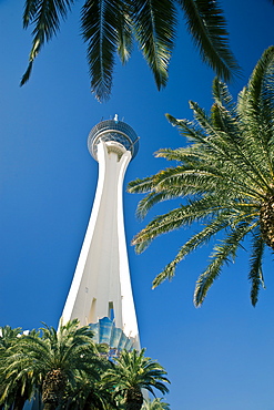 Stratosphere Tower, Las Vegas, Nevada, United States of America, North America