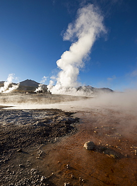 Tatio Geysers, Atacama Desert, El Norte Grande, Chile, South America