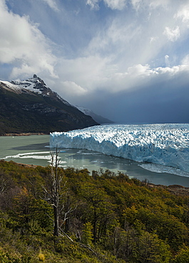 Afternoon light on the Perito Moreno Glacier, Los Glaciares National Park, UNESCO World Heritage Site, Patagonia, Argentina, South America