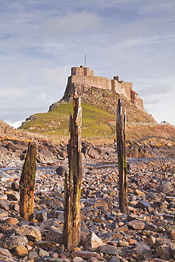 Lindisfarne Castle on Holy Island, Northumberland, England, United Kingdom, Europe