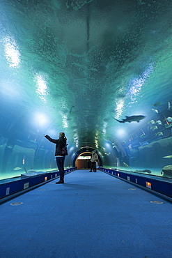 The aquarium in the City of Arts and Sciences (Ciudad de las Artes y las Ciencias) in Valencia, Spain, Europe