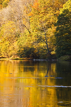 Beautiful autumn colours reflecting in the River Creuse, a favourite area of the river of the artist Claude Monet, Limousin, France, Europe.