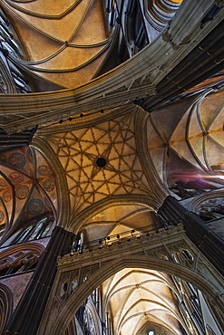 A detail of the ceiling in Salisbury Cathedral, Salisbury, Wiltshire, England, United Kingdom, Europe