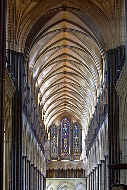 Looking down the nave of Salisbury Cathedral towards the west front, Salisbury, Wiltshire, England, United Kingdom, Europe