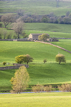 Stone barn in the Yorkshire Dales National Park, Yorkshire, England, United Kingdom, Europe