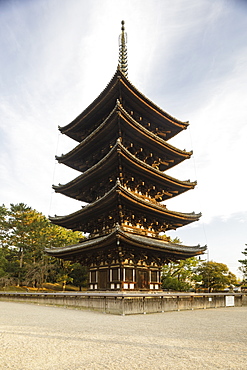 The five storey pagoda of Kofuku-ji Temple, UNESCO World Heritage Site, Nara, Japan, Asia