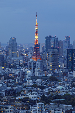 The Tokyo Tower in central Tokyo, Japan, Asia