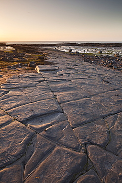 The ledges on Kilve Beach, Somerset, England, United Kingdom, Europe