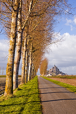 A tree lined avenue leads towards Mont Saint Michel, UNESCO World Heritage Site, Normandy, France, Europe