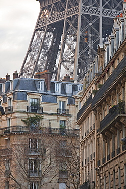 The Eiffel Tower and typical Parisian apartments, Paris, France, Europe