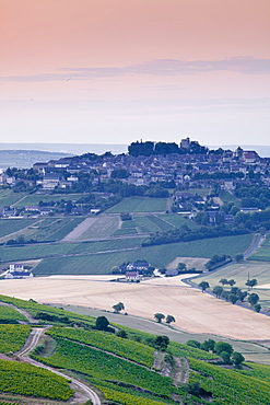 Looking across the vineyards surrounding the village of Sancerre, Cher, Loire Valley, Centre, France, Europe