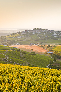 Dawn light starts to fill the skies above the village and vineyards of Sanerre, Cher, Loire Valley, Centre, France, Europe