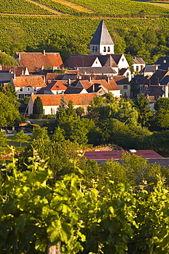 The village of Sury en Vaux near to the famous vineyards of Sancerre, Cher, Loire Valley, Centre, France, Europe