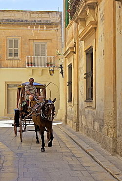 Mdina, the fortress city, Malta, Europe