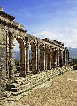 Roman archaeological site, Volubilis, UNESCO World Heritage Site, Meknes Region, Morocco, North Africa, Africa