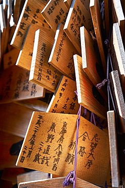 Votives (Ema prayer tablets), with prayers and wishes for success at Kitano Tenmangu Temple, Kyoto, Japan, Asia