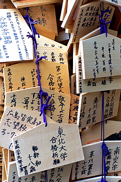 Votives (Ema prayer tablets), with prayers and wishes for success at Kitano Tenmangu Temple, Kyoto, Japan, Asia