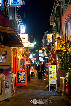 Nightlife in Golden Gai alley, Tokyo, Japan, Asia