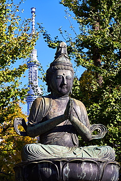 Kannon Bosatsu Buddha sculpture at the Sensoji Temple with the Sky Tree Tower in the background, Asakusa, Tokyo, Japan, Asia