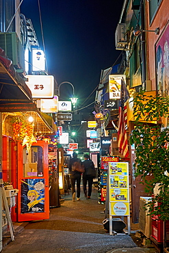 Nightlife in Golden Gai alley, Tokyo, Japan, Asia