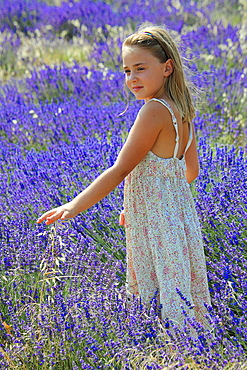 Little girl in a field of lavender, Provence, France