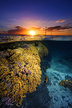 Sunset over the Etang-salé lagoon, Reunion Marine Nature Reserve, Indian Ocean