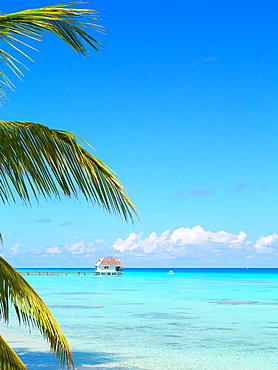 Handcrafted pearl farm - Fakarava French Polynesia