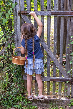 Girl trying to open the gate of a garden, summer, Moselle, France