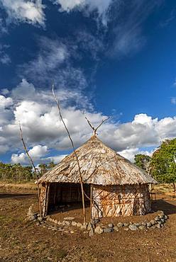 Traditional wooden case and bark of Niaouli (Melaleuca quinquenervia). Common Poya. New Caledonia.