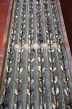 Oyster spat at an oyster farmer, Etang de Thau, France