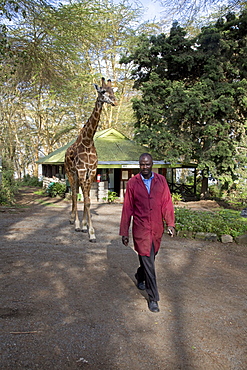 Eric a person-friendly giraffe at Elsamere Naivahsa Kenya