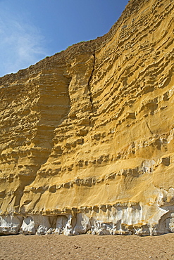 Iconic golden cliffs West Bay and Hive Beach Burton Bradstock Jurassic Coast, Dorset, UK