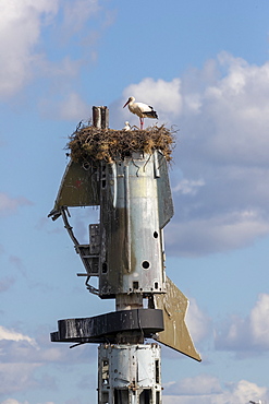 White Stork (Ciconia ciconia) nest on top of scavenged plane part, Spain