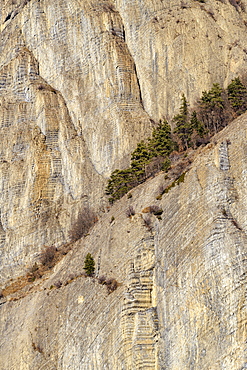 Cliff with remarkable stratifications, folded layers of marls and limestones of the Lower Jurassic, above Bassey near Bourg d'Oisan, Ecrins NP, Alps, France