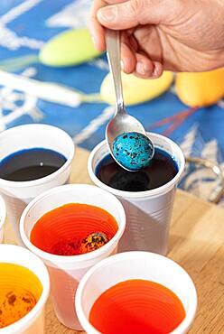 Coloring quail eggs with natural dyes for Easter, spring