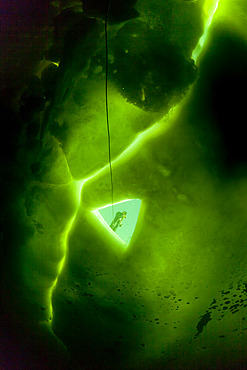 Surface tender seen through the maina (sawed entry hole) to dive under the ice, Arctic circle Dive Center, White Sea, Karelia, northern Russia