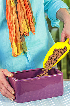 Step-by-step preparation of a forced narcissus planter. filling of a watertight planter with expanded clay balls.