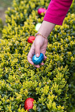 Egg hunt in a garden at Easter, Pas de Calais, France