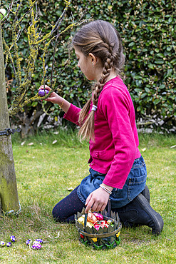 Egg hunt in a garden at Easter, Pas de Calais, France