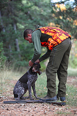 Man hunting with his dog breed german pointer, Vaucluse, France