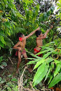 Mentawai boys hunting with a sligshot, Siberut, Mentawai, Indonesia