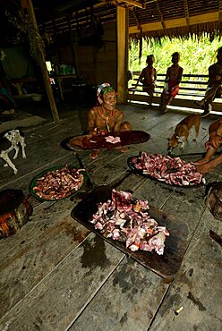 Division of the cooked pork(. Mentawai. Siberut, Indonesia