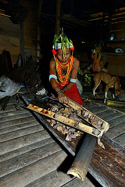 Woman Mentawai putting the meat in a bamboo to preserve her Siberut, Indoneisa